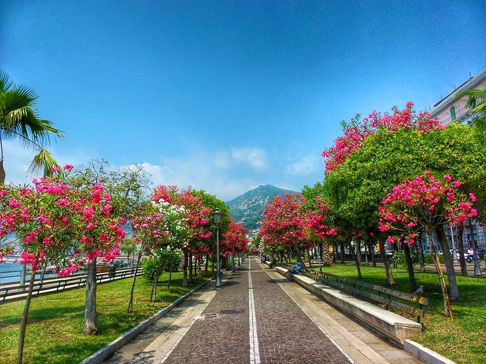 La passeggiata alberata del lungomare di Salerno con oleandri in fiore
